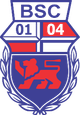 邦纳U19logo